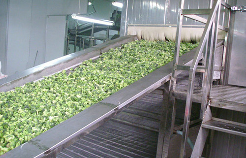 隧道沖擊式網(wǎng)帶速凍設(shè)備速凍機