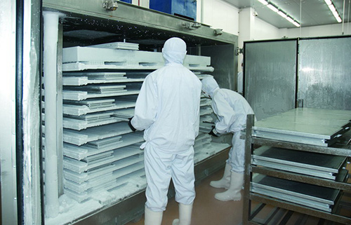 臥式平板速凍設(shè)備